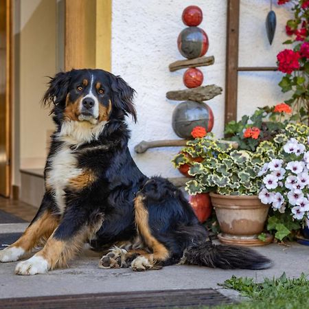 Appartamento Bio-Bergbauernhof Weger Dellach  Esterno foto