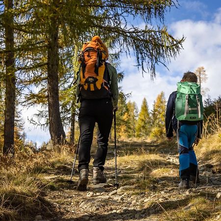 Appartamento Bio-Bergbauernhof Weger Dellach  Esterno foto