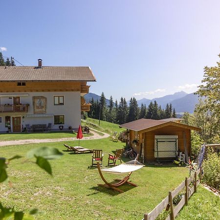Appartamento Bio-Bergbauernhof Weger Dellach  Esterno foto