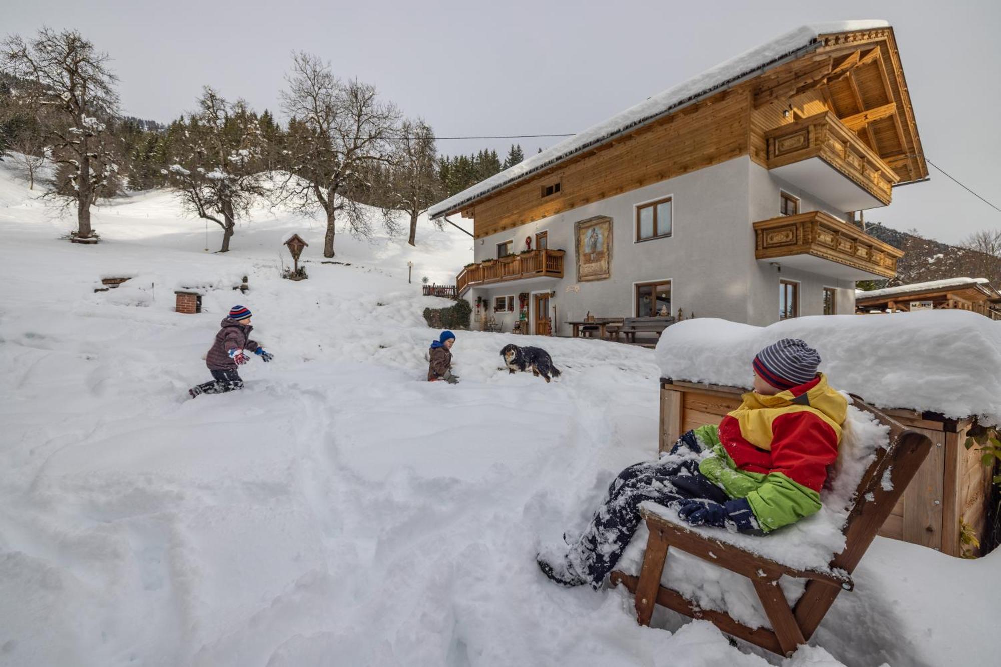 Appartamento Bio-Bergbauernhof Weger Dellach  Esterno foto