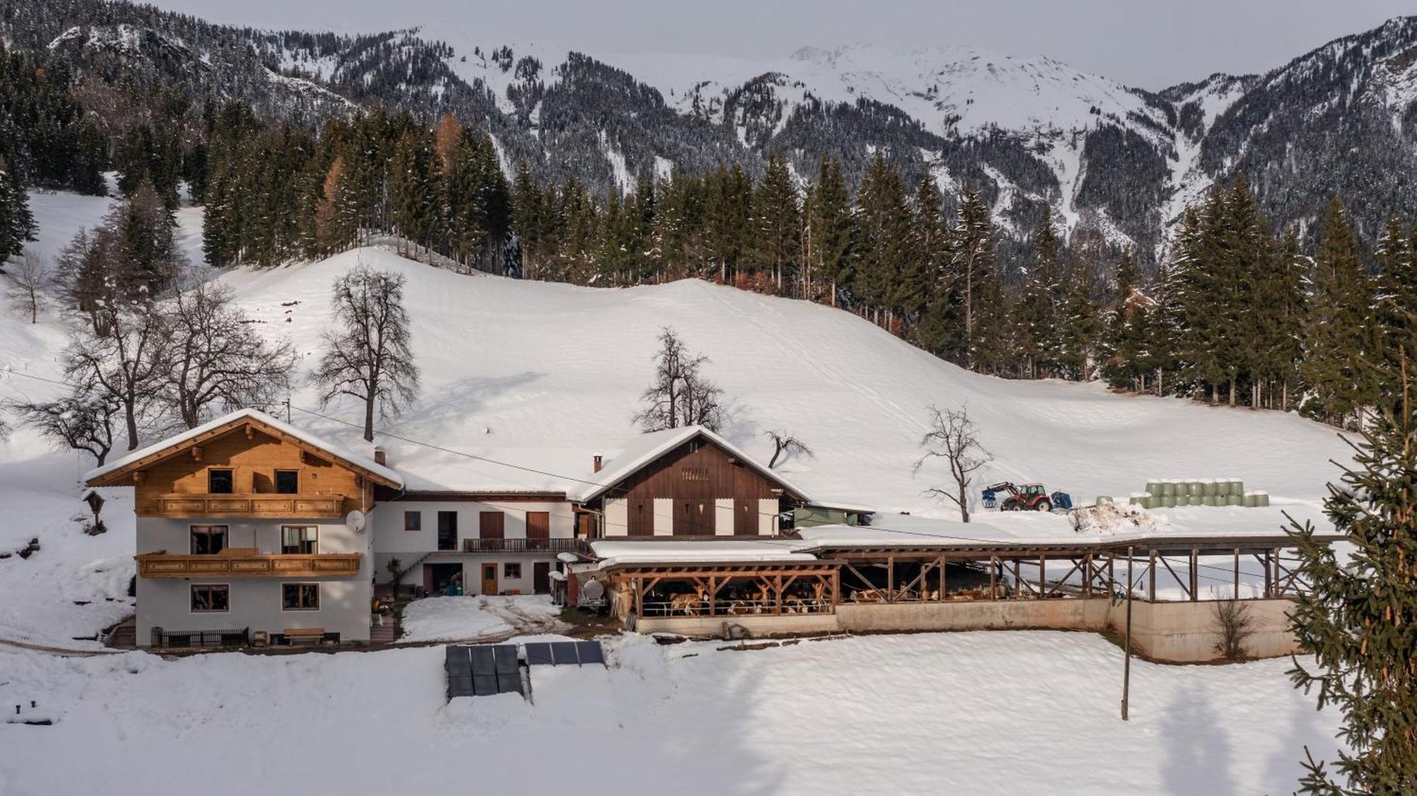 Appartamento Bio-Bergbauernhof Weger Dellach  Esterno foto