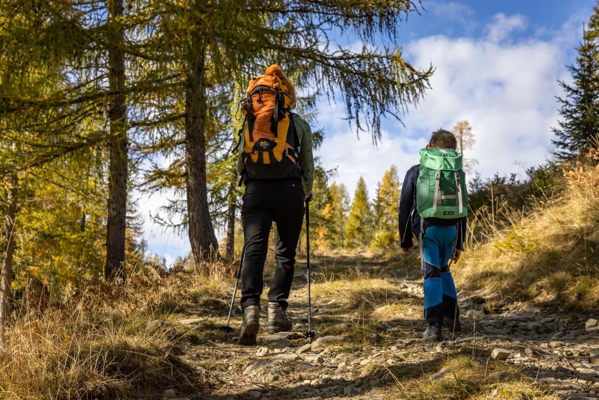 Appartamento Bio-Bergbauernhof Weger Dellach  Esterno foto