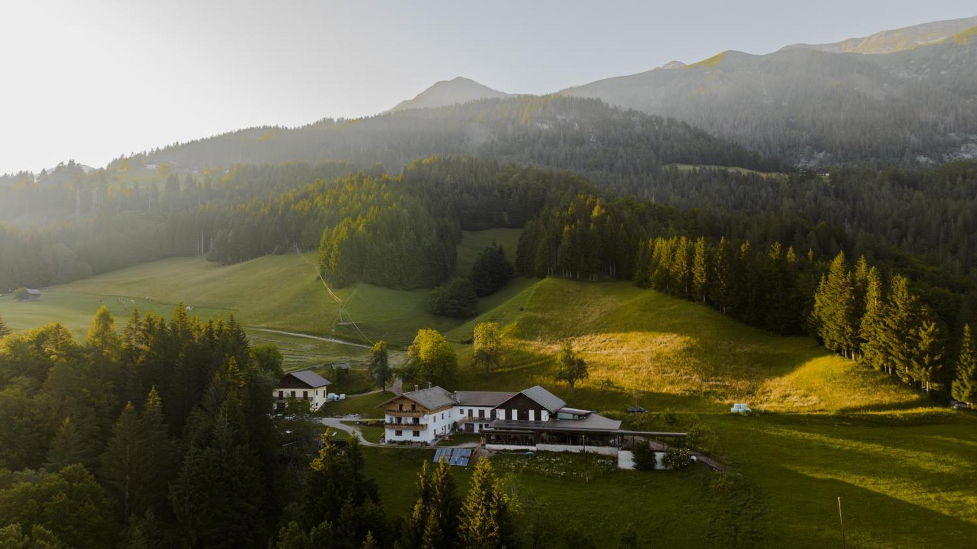 Appartamento Bio-Bergbauernhof Weger Dellach  Esterno foto