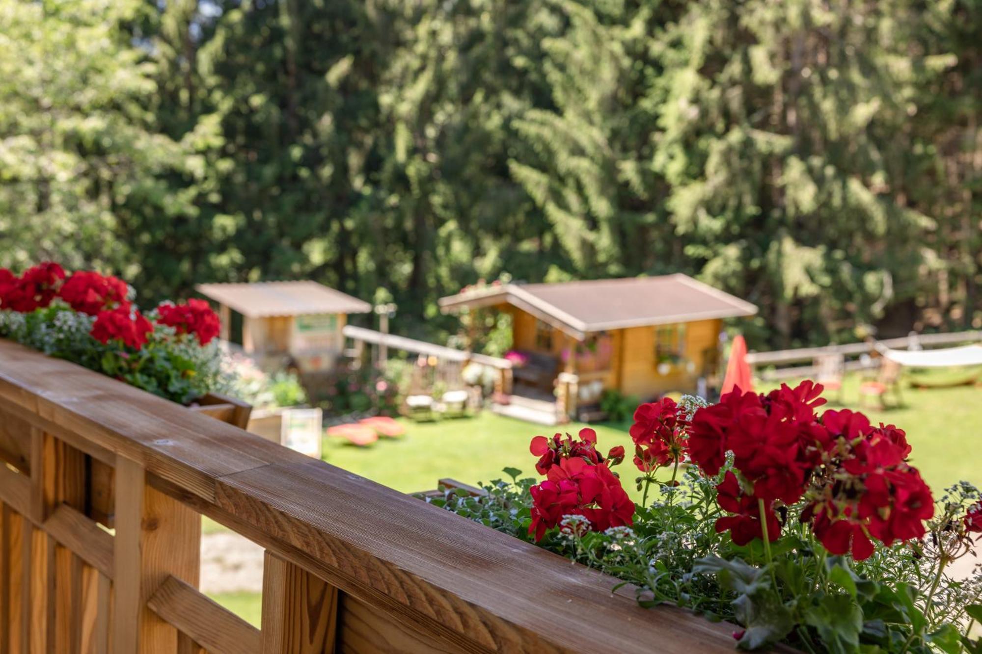 Appartamento Bio-Bergbauernhof Weger Dellach  Esterno foto