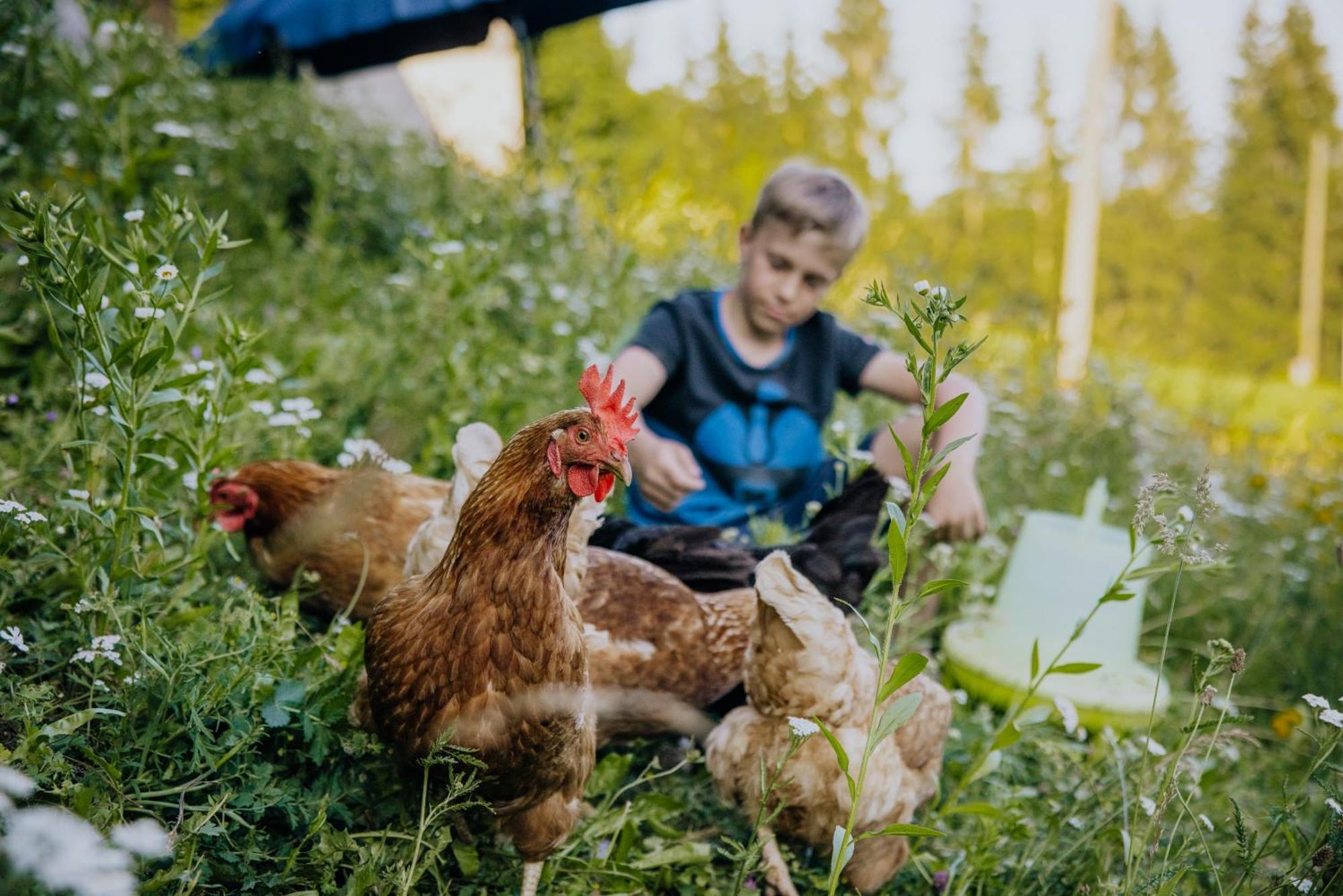 Appartamento Bio-Bergbauernhof Weger Dellach  Esterno foto
