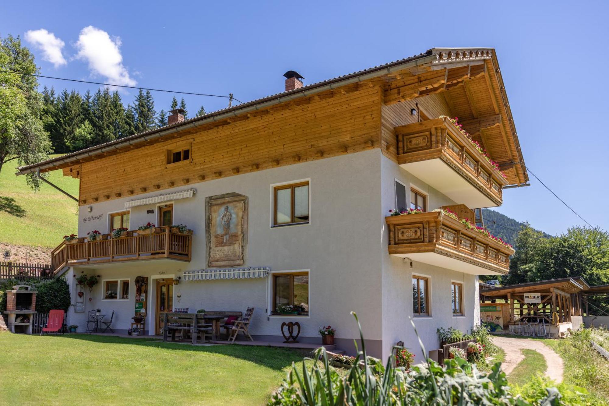 Appartamento Bio-Bergbauernhof Weger Dellach  Esterno foto