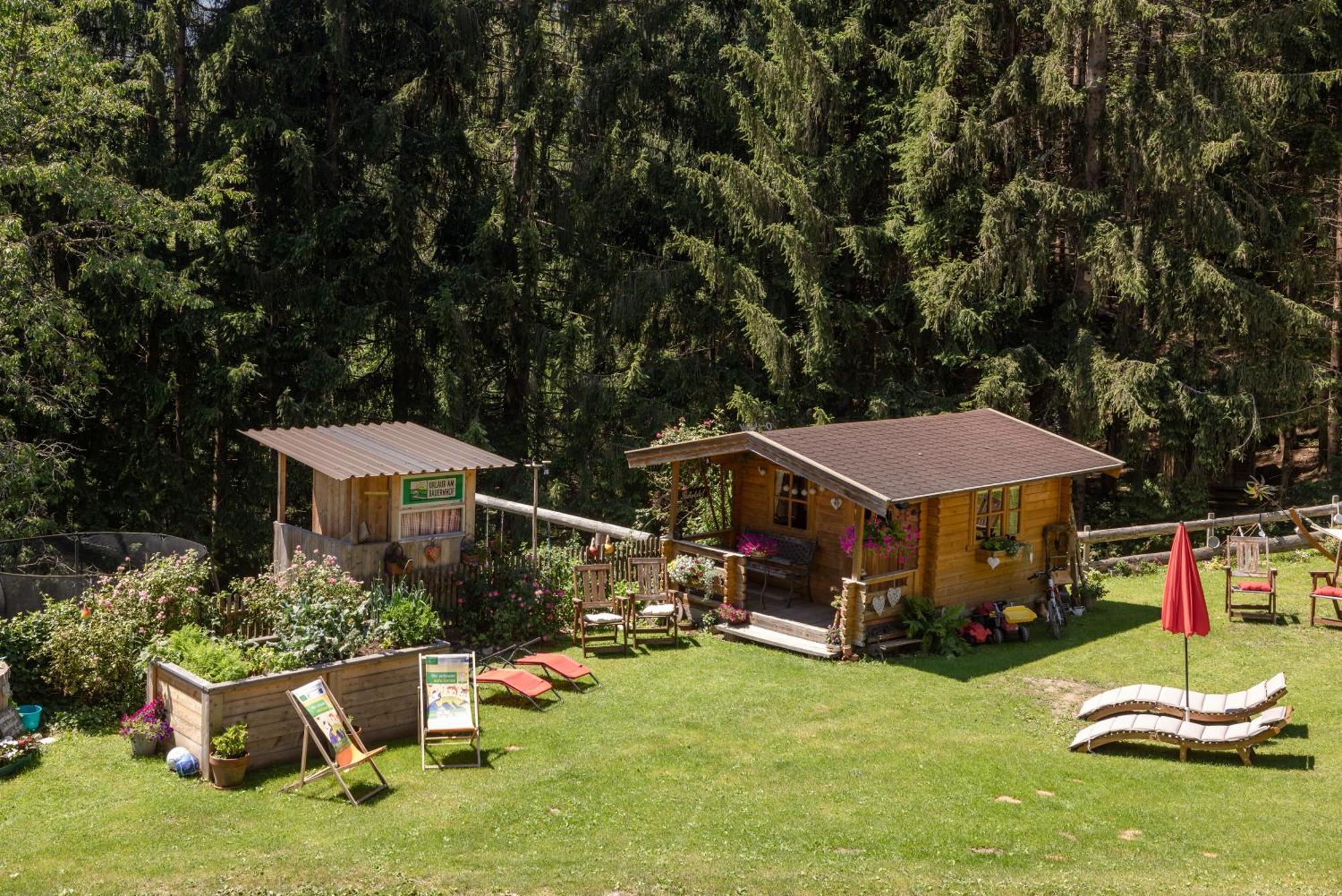 Appartamento Bio-Bergbauernhof Weger Dellach  Esterno foto