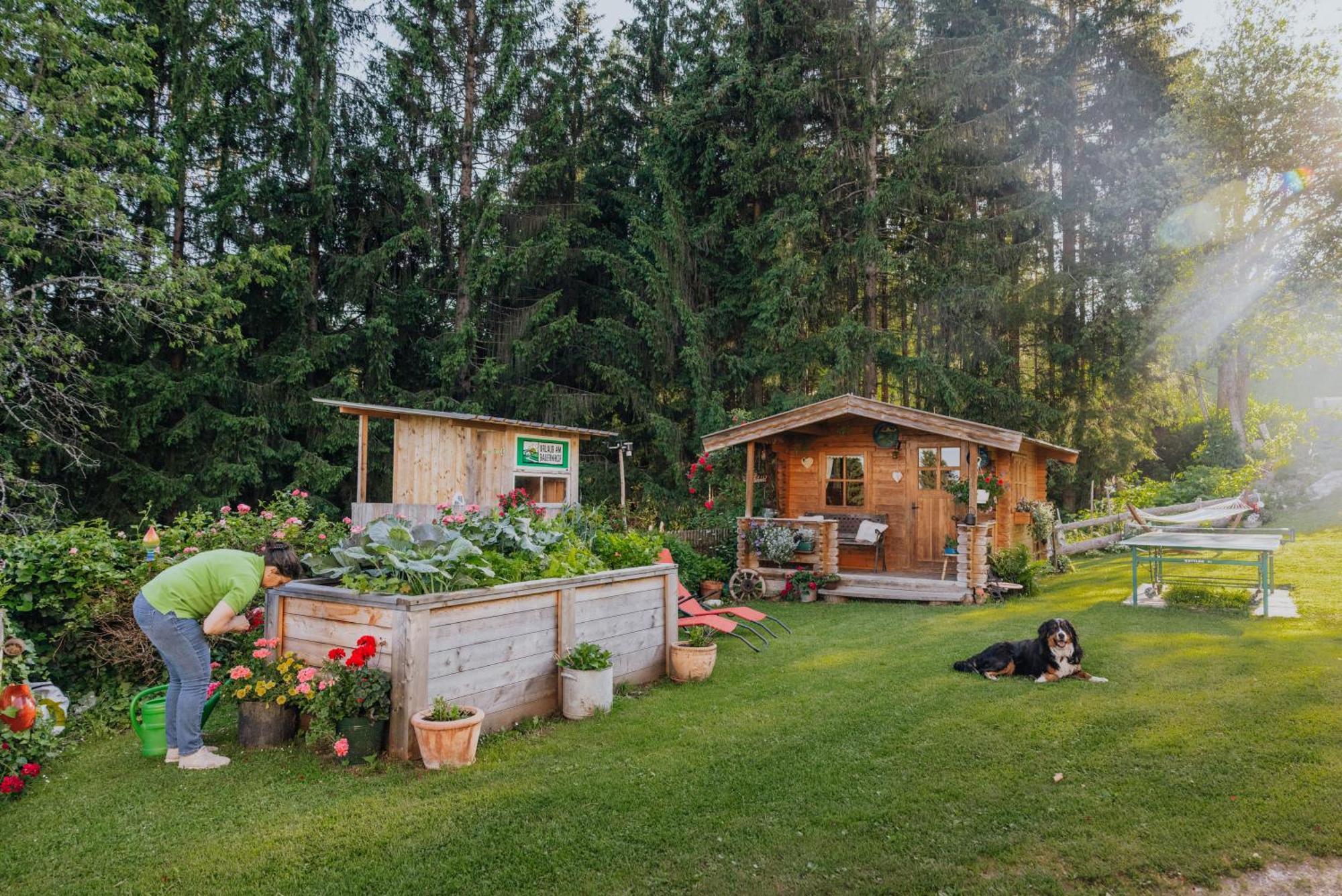 Appartamento Bio-Bergbauernhof Weger Dellach  Esterno foto