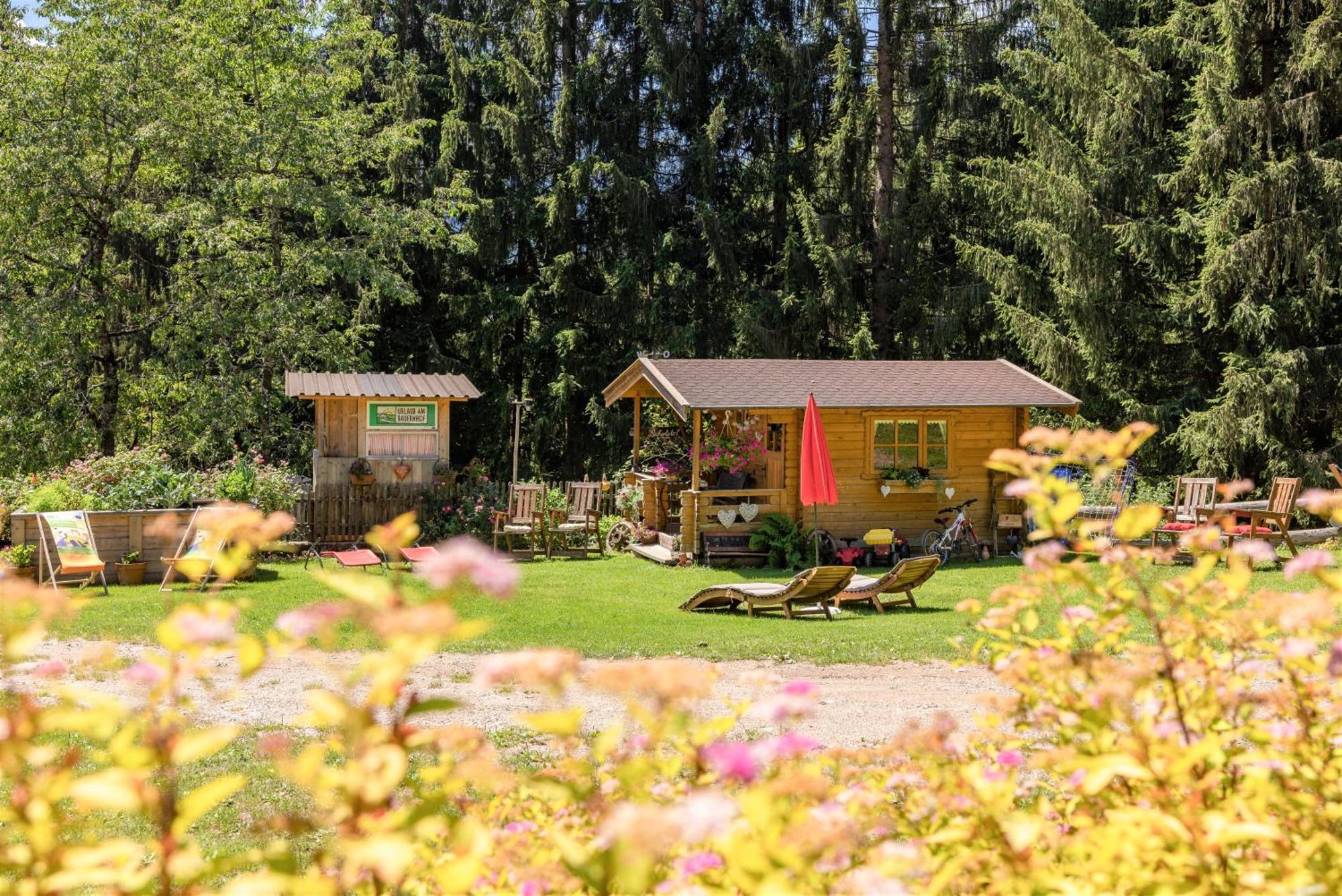 Appartamento Bio-Bergbauernhof Weger Dellach  Esterno foto